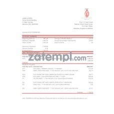 Bahrain Al Salam bank statement sample, Excel and PDF format