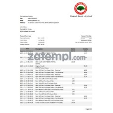 Bangladesh Rupali Bank statement sample, Word and PDF format