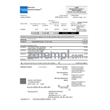 USA New York American Express Blue bank statement sample, Excel and PDF format