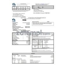 USA USAA bank Credit card statement sample, Excel and PDF format