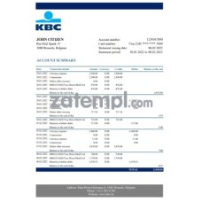 Belgium KBC bank statement sample, Excel and PDF format Belgium KBC bank statement sample, Excel and PDF format