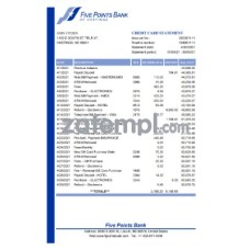 USA Nebraska Five Points Bank statement sample, Excel and PDF format