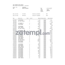 USA WASHINGTON bank statement sample, Word and PDF format