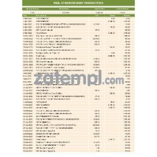 real 30 random bank transactions, PDF and Word download template